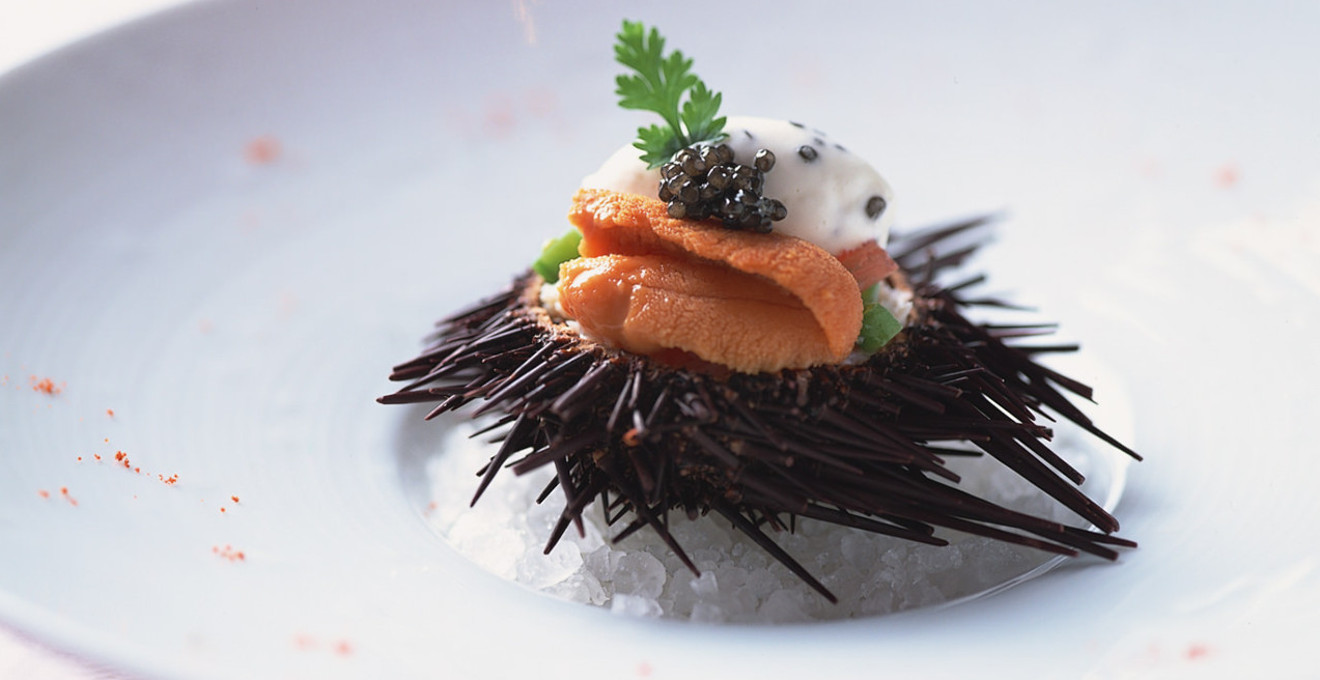 サンス・エ・サヴール